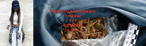спайс Касимов