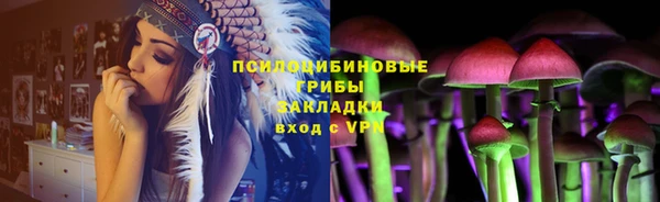 спайс Касимов