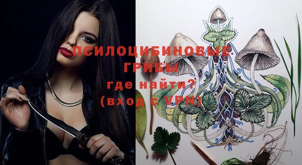 спайс Касимов